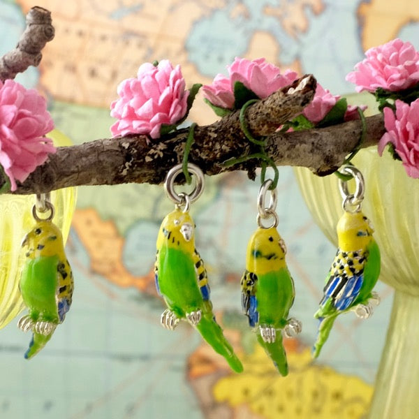 Budgerigar Silver Charm by Joy Everley From 60 GBP