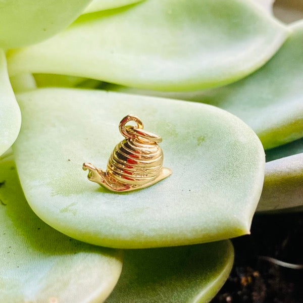 Solid Gold Snail by Joy Everley