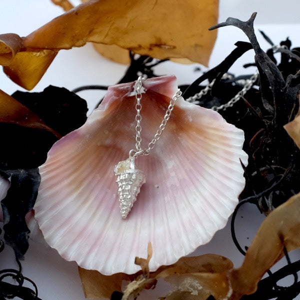 Mozambique Silver Shell Necklace by Jennifer Kinnear